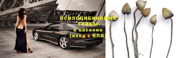 mdpv Арсеньев