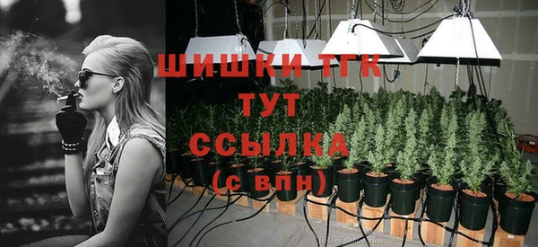 mdpv Арсеньев
