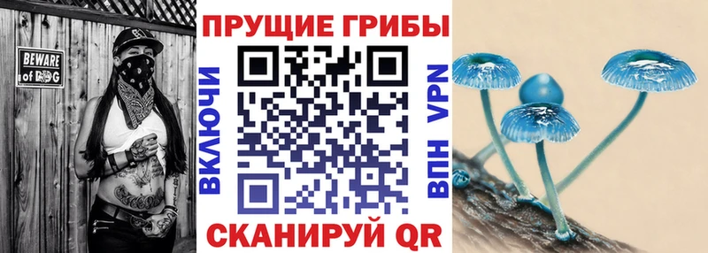 что такое   Трёхгорный  mega ССЫЛКА  Галлюциногенные грибы GOLDEN TEACHER 